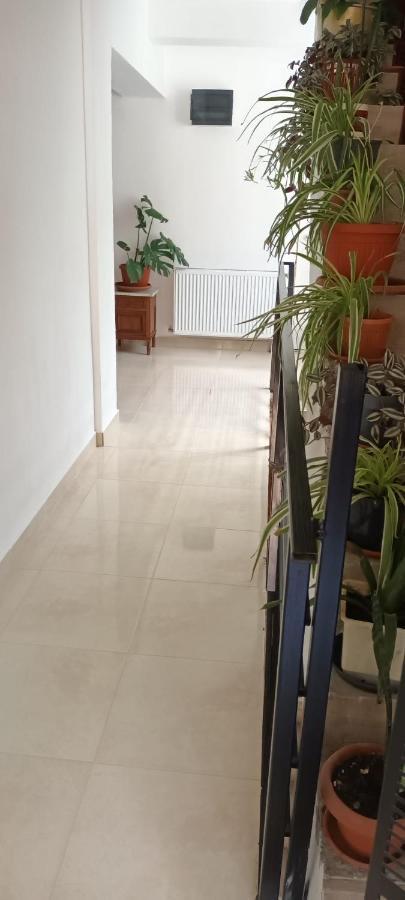 Pensiunea Vila Geany Srl Baile Herculane Exterior photo