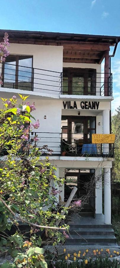 Pensiunea Vila Geany Srl Baile Herculane Exterior photo