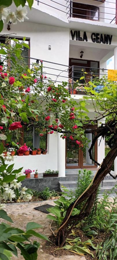 Pensiunea Vila Geany Srl Baile Herculane Exterior photo